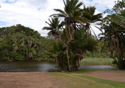 Many river-front stands